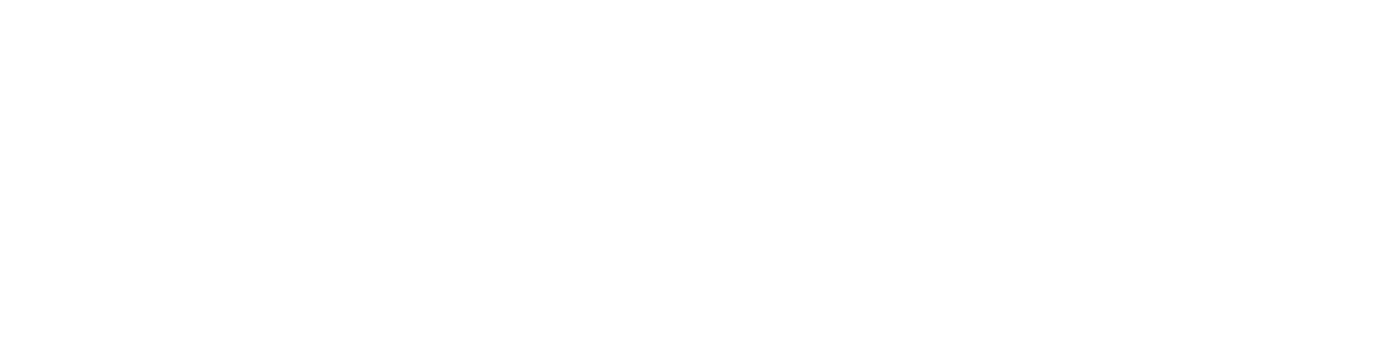 MONKEY FLY